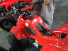 Quadriciclo BZ Flash Vermelho NF 836